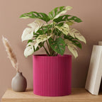 Palo Planter