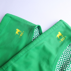 Hortelã Green solid Men's Swimming Sunga - Beachwear for Men
