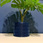 Apex Planter