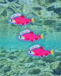 F*ck ICE Salmon Sticker