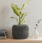 NOVA Planter