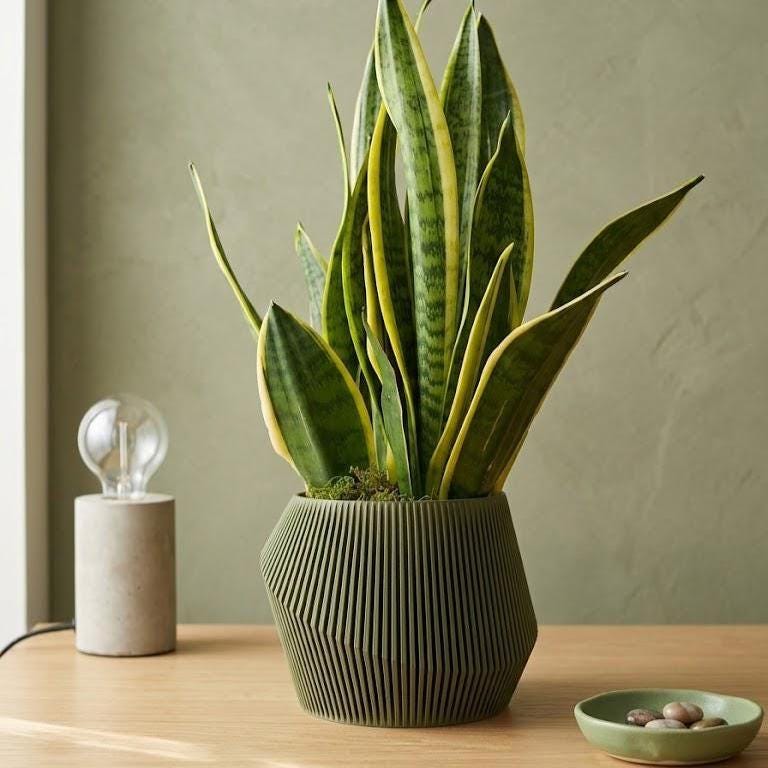 Vero Planter