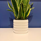 Apex Planter