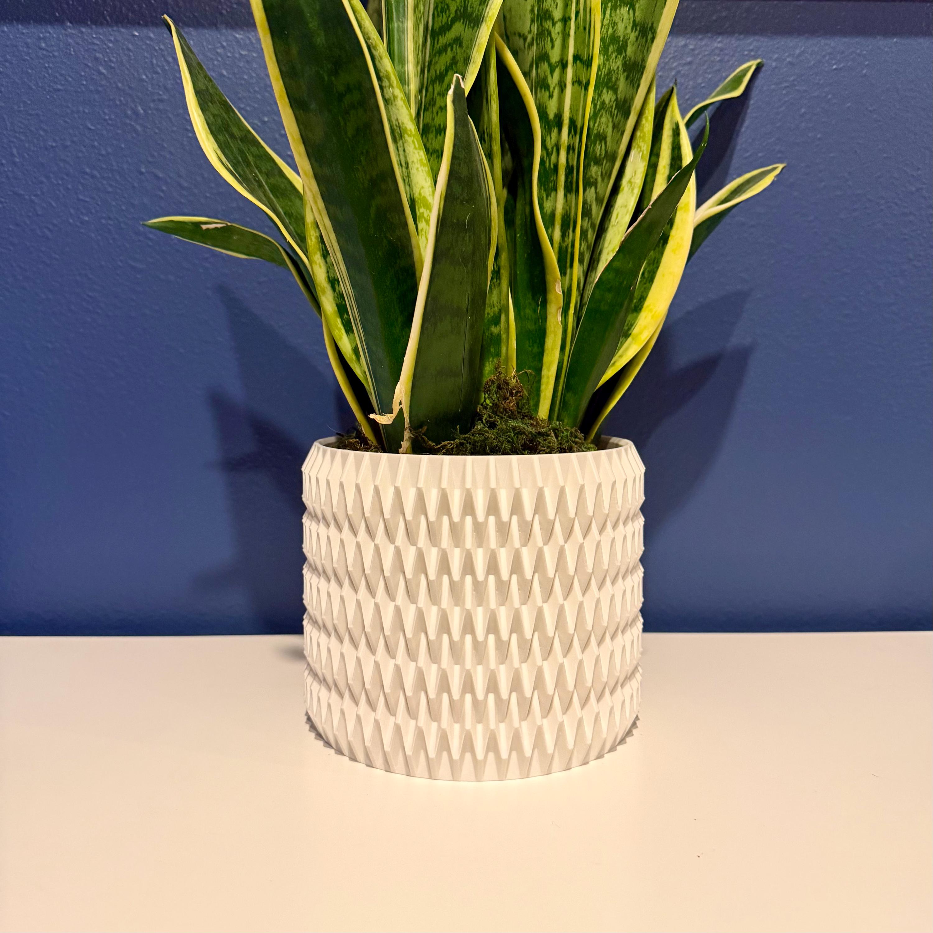 Apex Planter