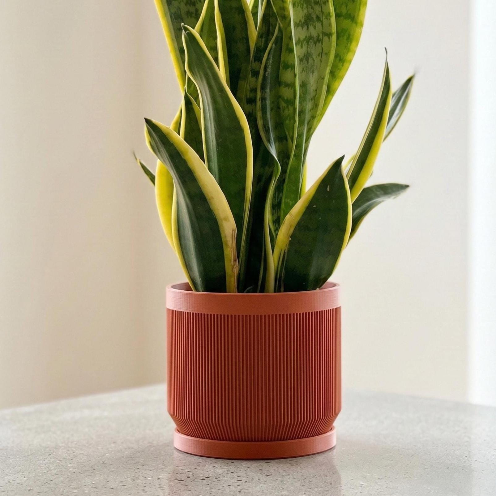 Vector Planter