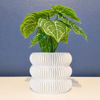 3-Ripple Planter