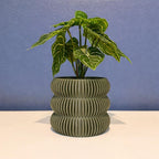3-Ripple Planter