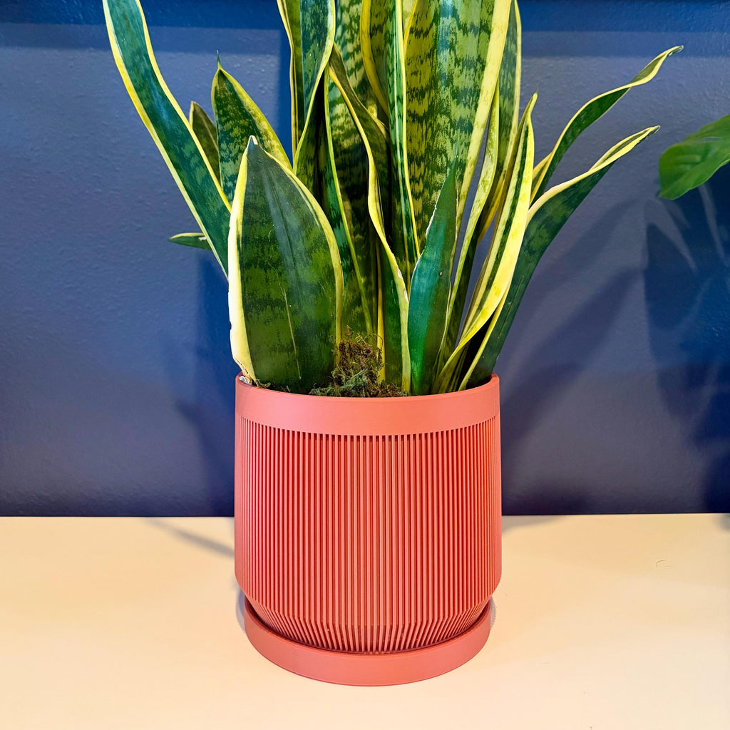 Vector Planter