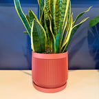 Vector Planter