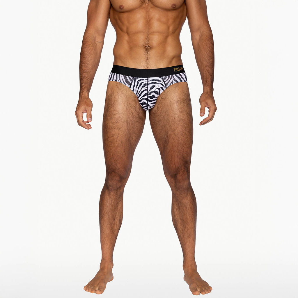 Active Brief - Zebra