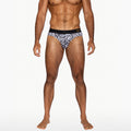 Active Brief - Zebra