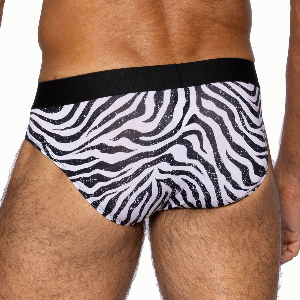Active Brief - Zebra