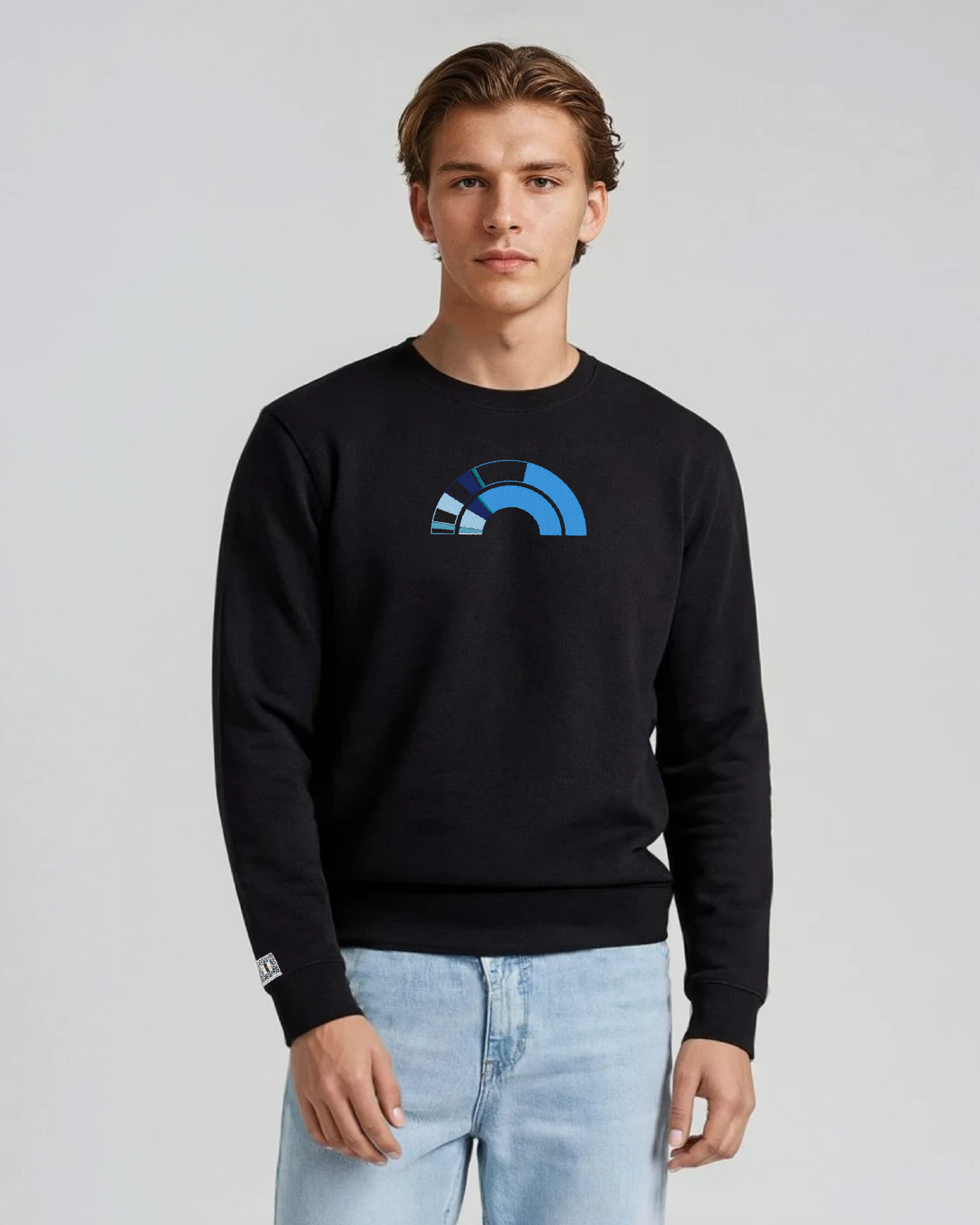 the 119th - embroidered sweatshirt | Civic Engagement Visualized