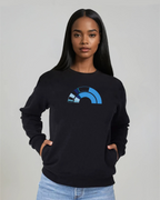 the 119th - embroidered sweatshirt | Civic Engagement Visualized