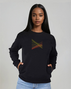 the correlation - embroidered sweatshirt | Gun Laws Visualized