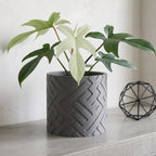 Trace Planter - Single Color