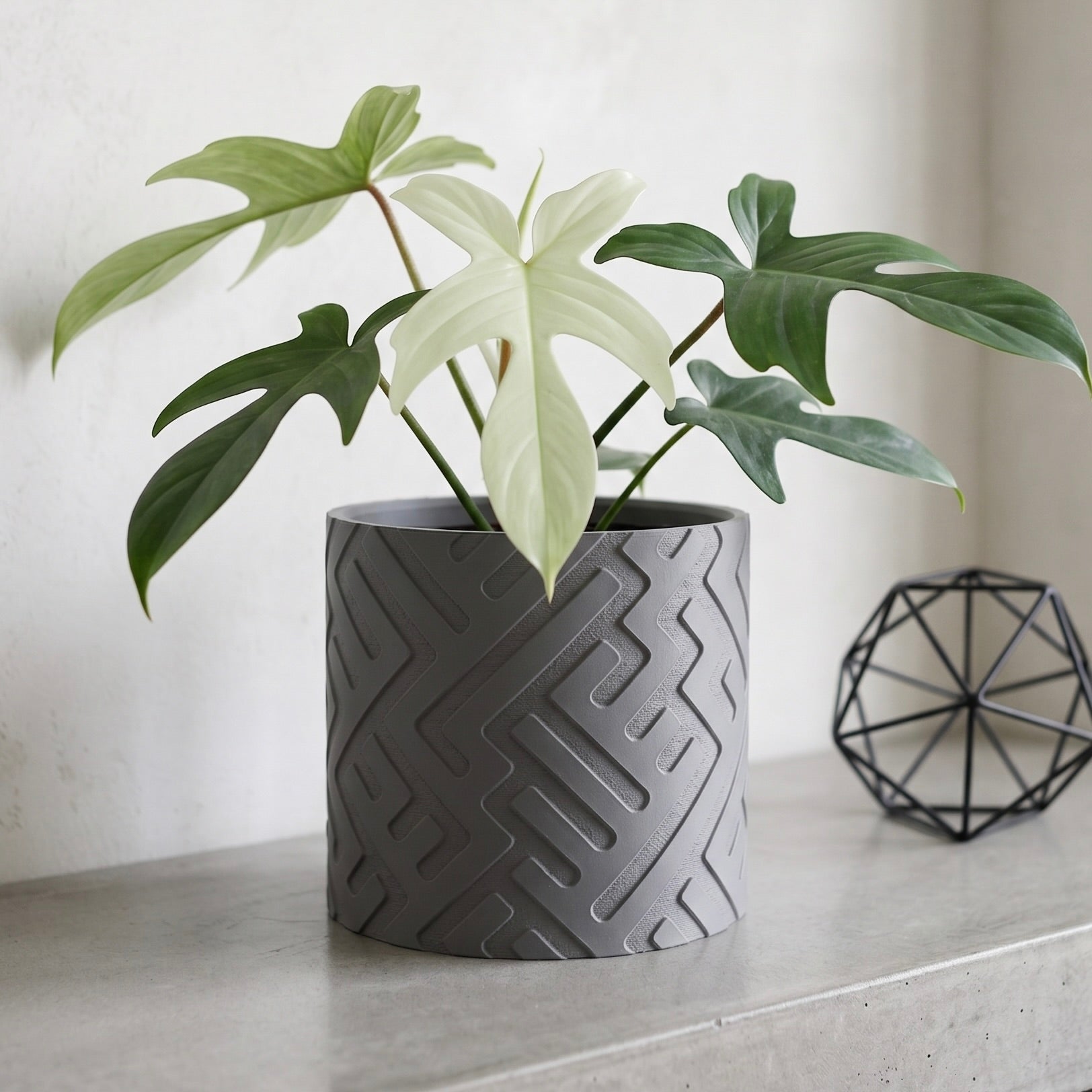 Trace Planter - Single Color