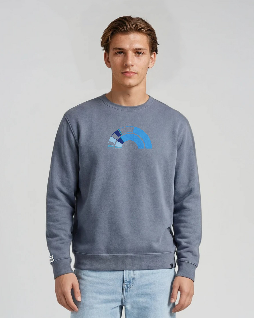 the 119th - embroidered sweatshirt | Civic Engagement Visualized
