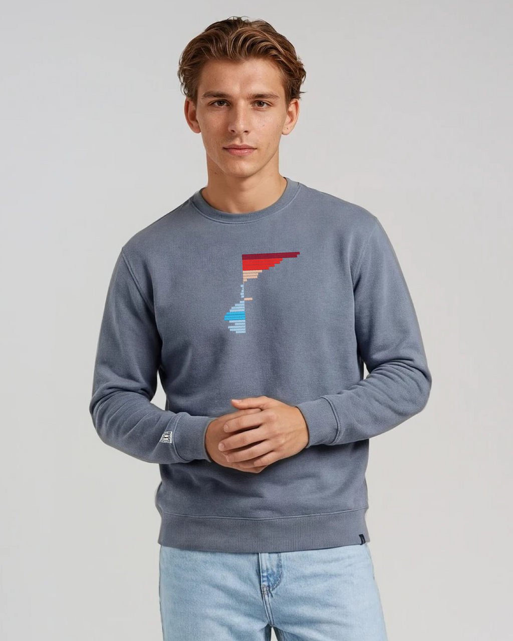 the rise - embroidered sweatshirt | Climate Change Visualized