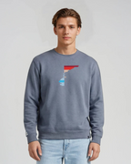 the rise - embroidered sweatshirt | Climate Change Visualized
