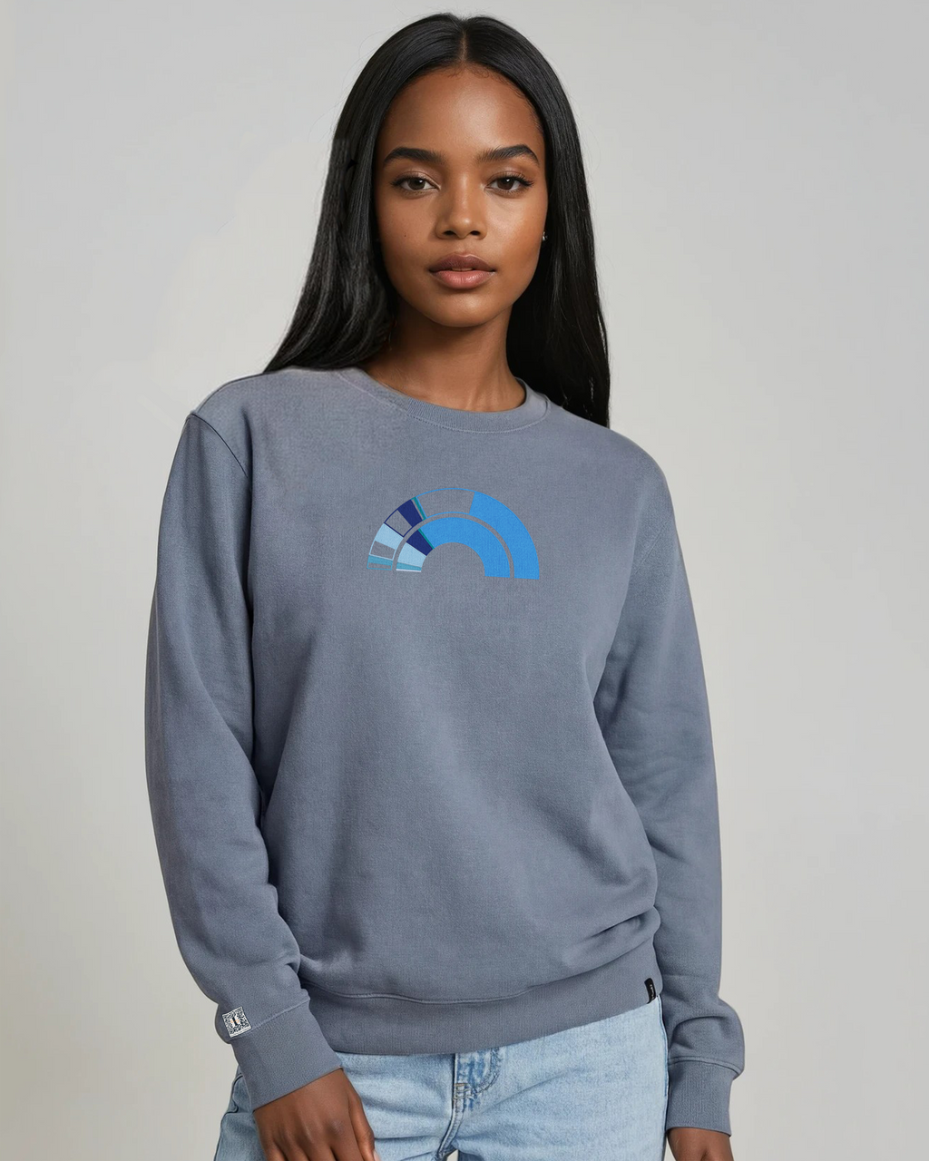 the 119th - embroidered sweatshirt | Civic Engagement Visualized