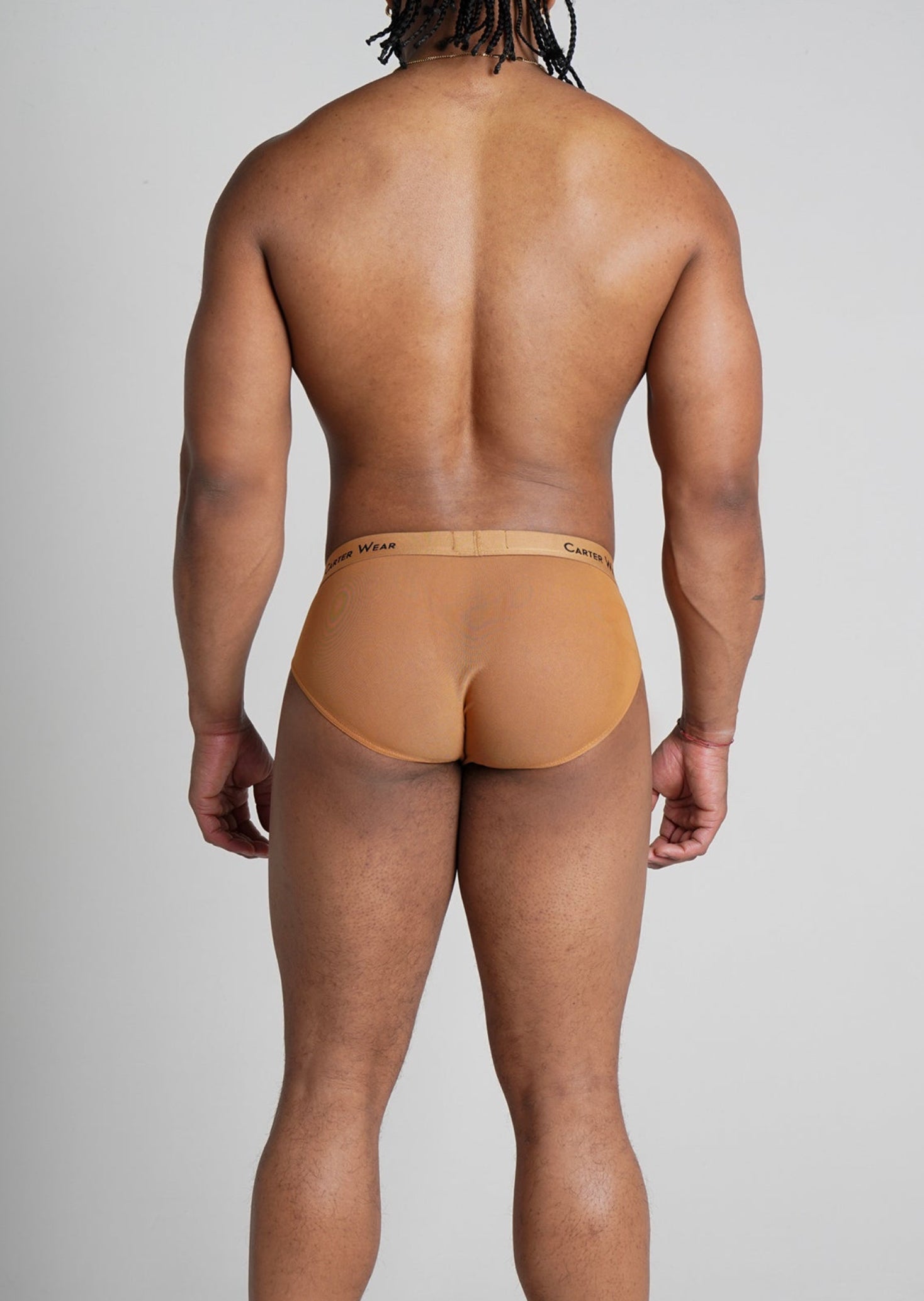 Latte Micro Mesh Brief