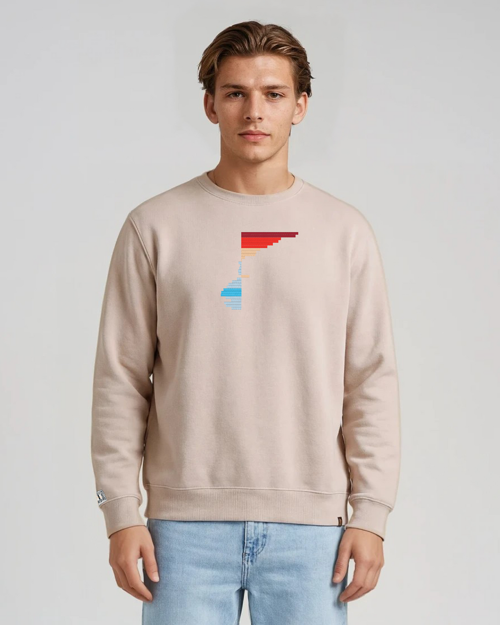 the rise - embroidered sweatshirt | Climate Change Visualized