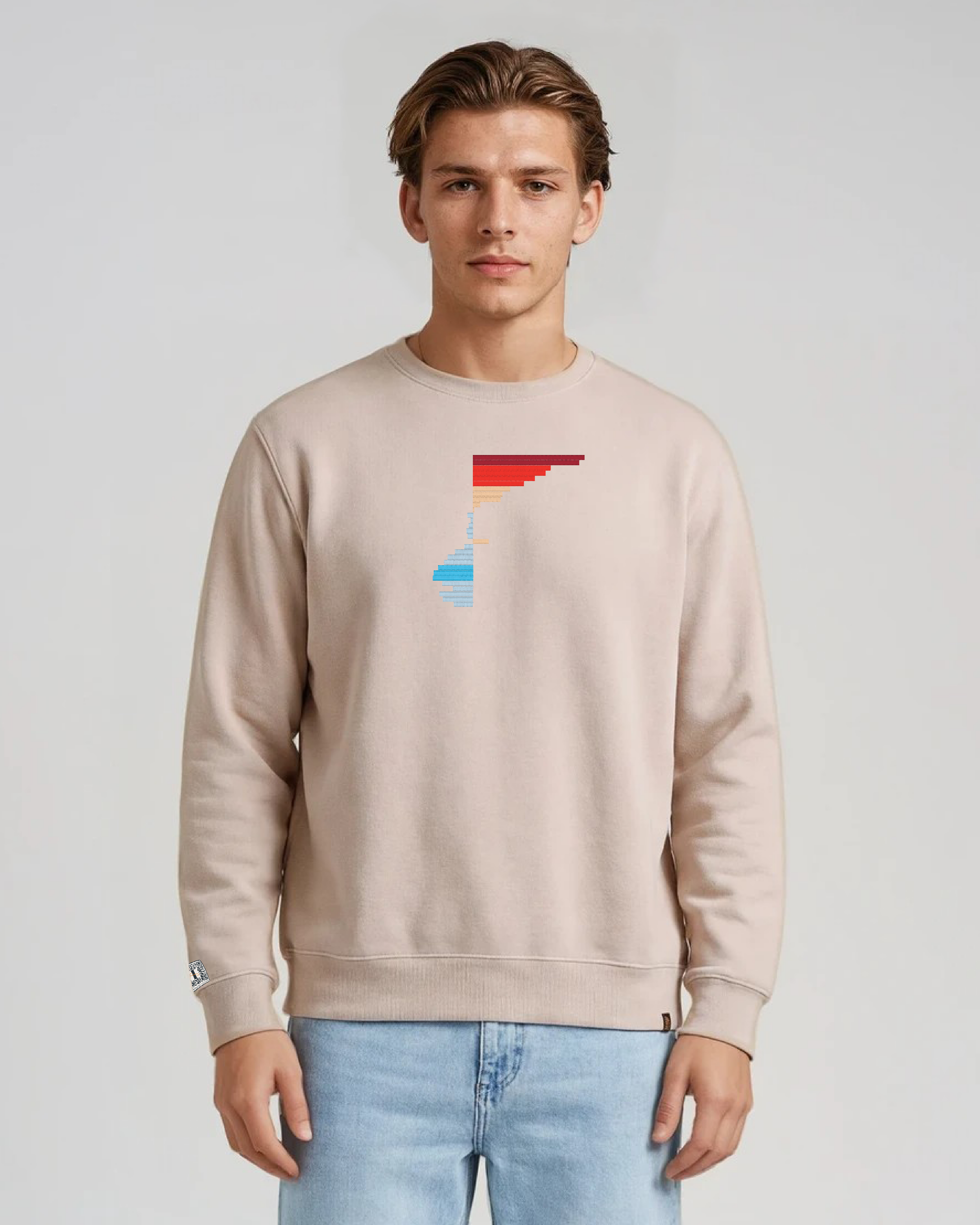 the rise - embroidered sweatshirt | Climate Change Visualized