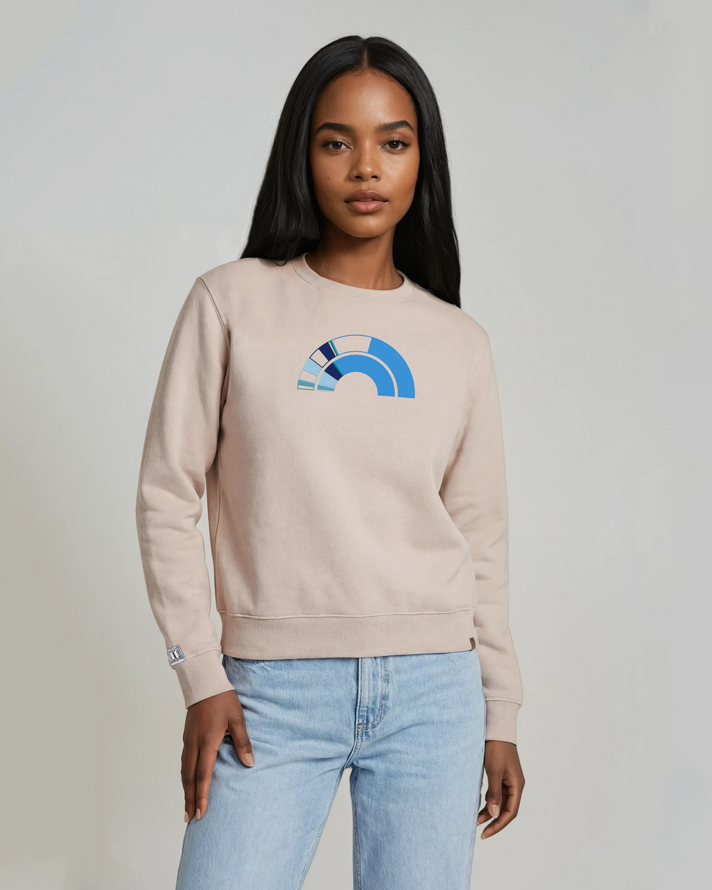 the 119th - embroidered sweatshirt | Civic Engagement Visualized