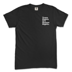 Trans Rights Are Human Rights. Period. Tee (Comfort Colors)