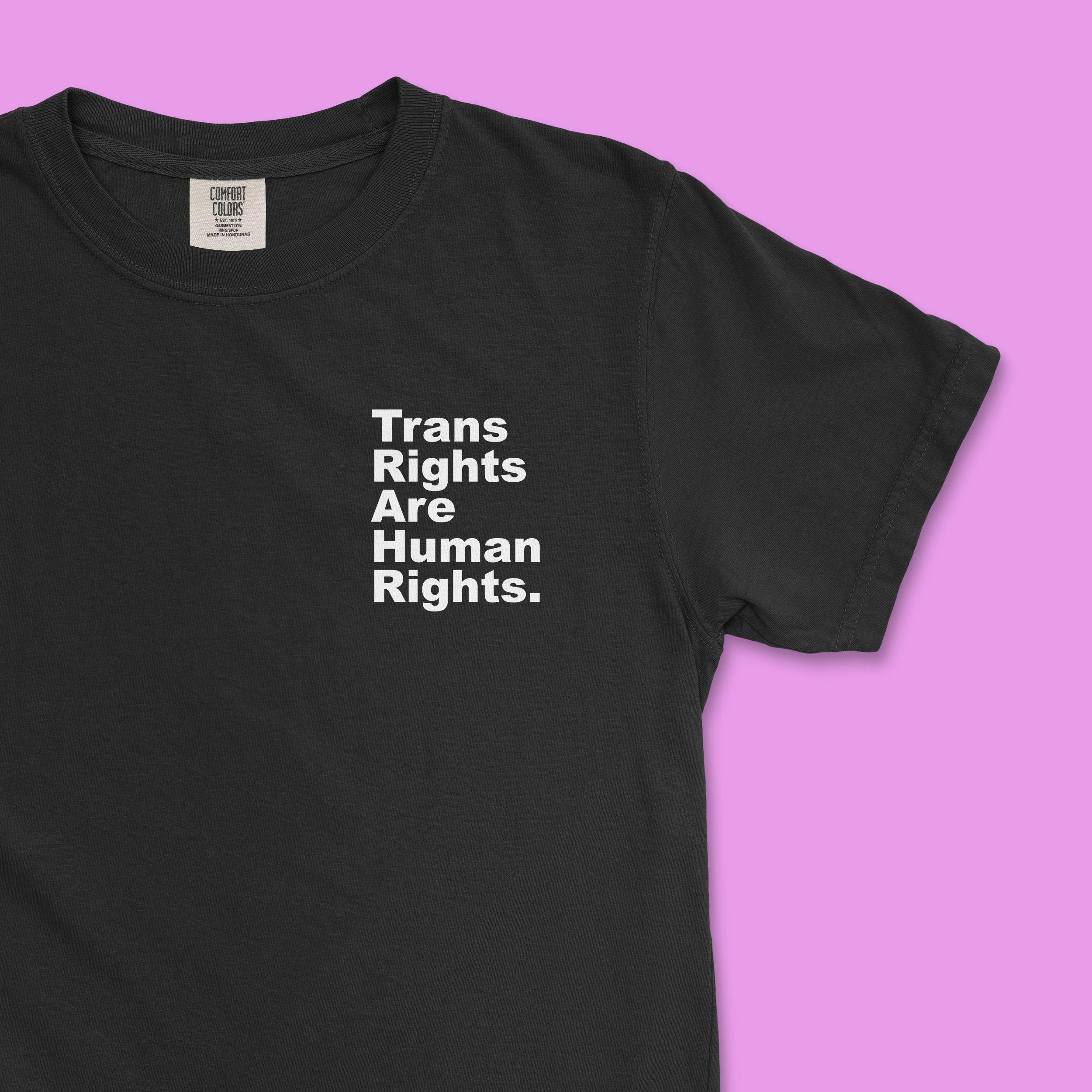 Trans Rights Are Human Rights. Period. Tee (Comfort Colors)