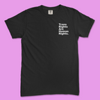 Trans Rights Are Human Rights. Period. Tee (Comfort Colors)