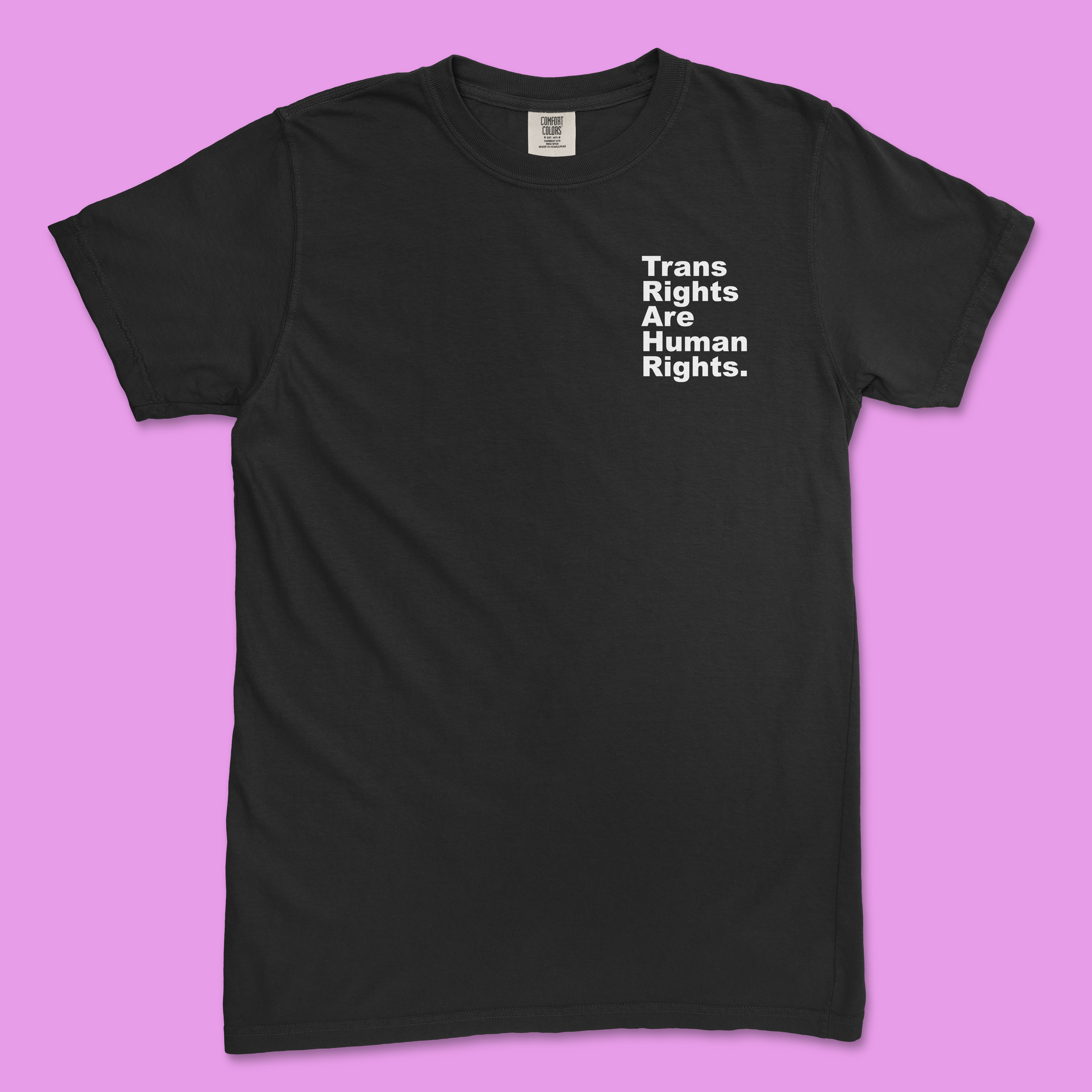 Trans Rights Are Human Rights. Period. Tee (Comfort Colors)