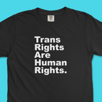 Trans Rights Are Human Rights. Period. Tee (Comfort Colors)