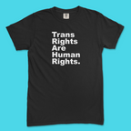 Trans Rights Are Human Rights. Period. Tee (Comfort Colors)