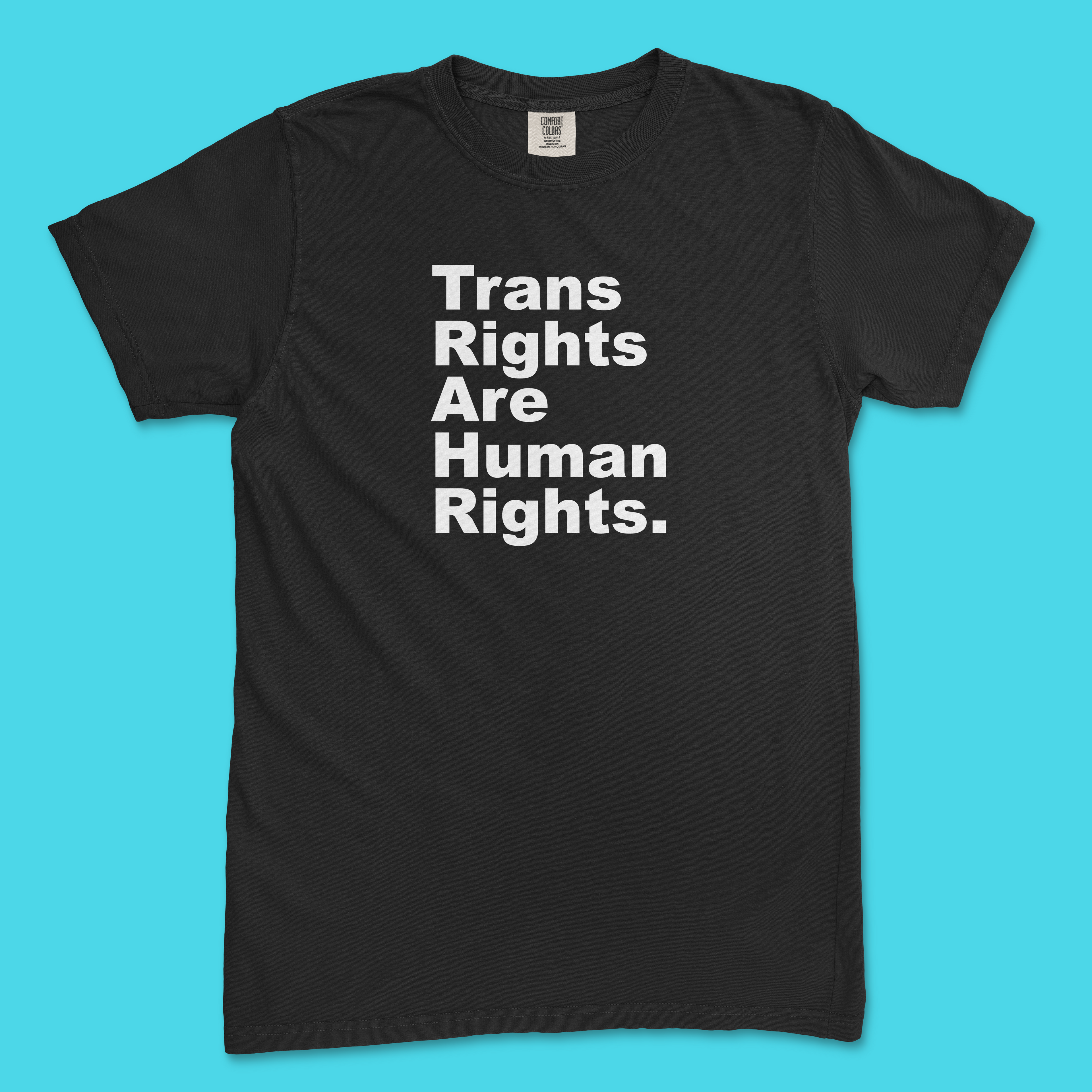 Trans Rights Are Human Rights. Period. Tee (Comfort Colors)