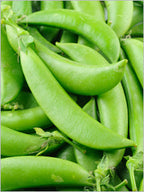 Peas - Sugar Snap