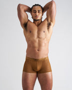 Casanova Trunk - Brass