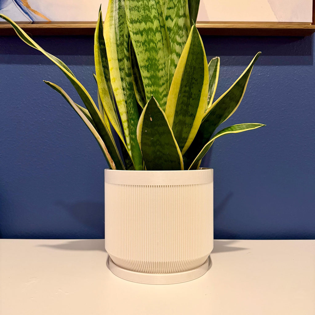 Vector Planter