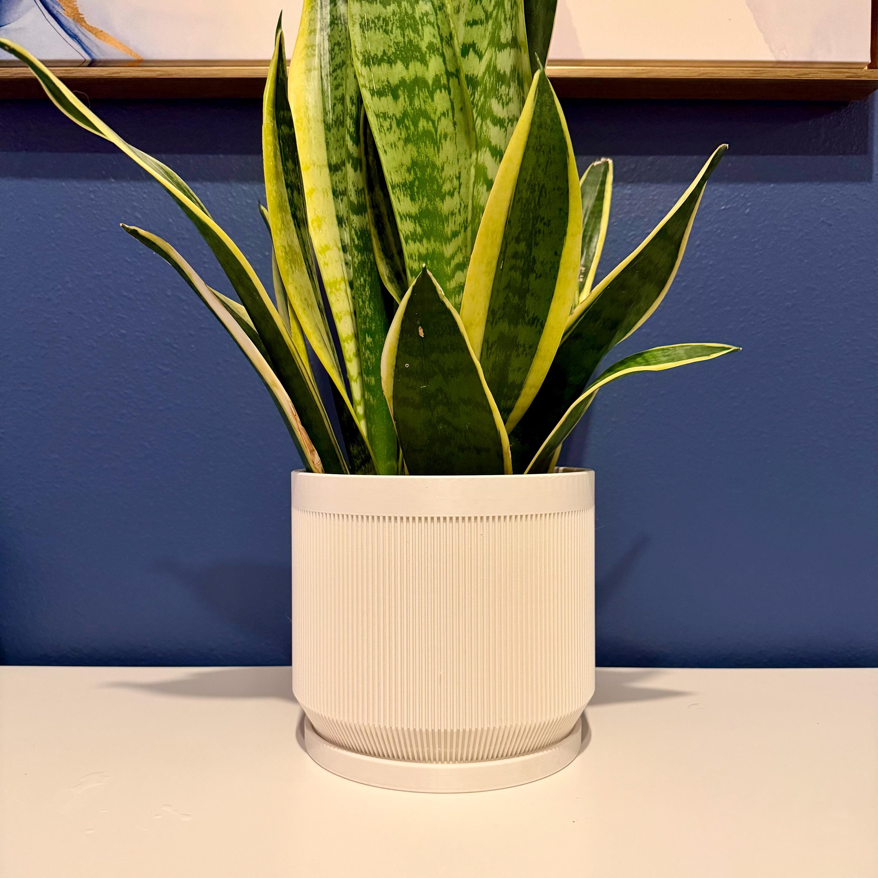 Vector Planter