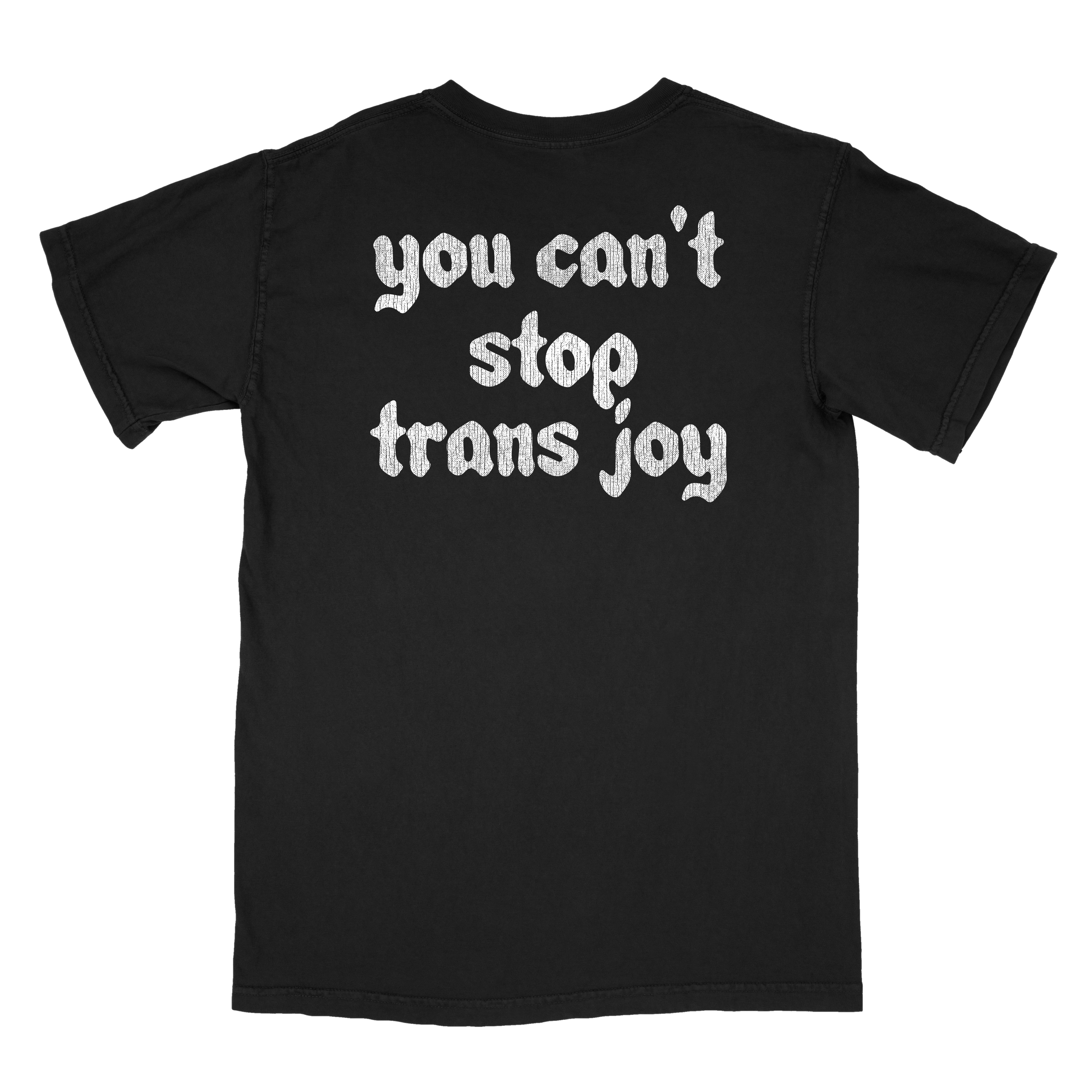You Can't Stop Trans Joy