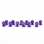 Blacklight Zodiac / Astrology Sign Beads