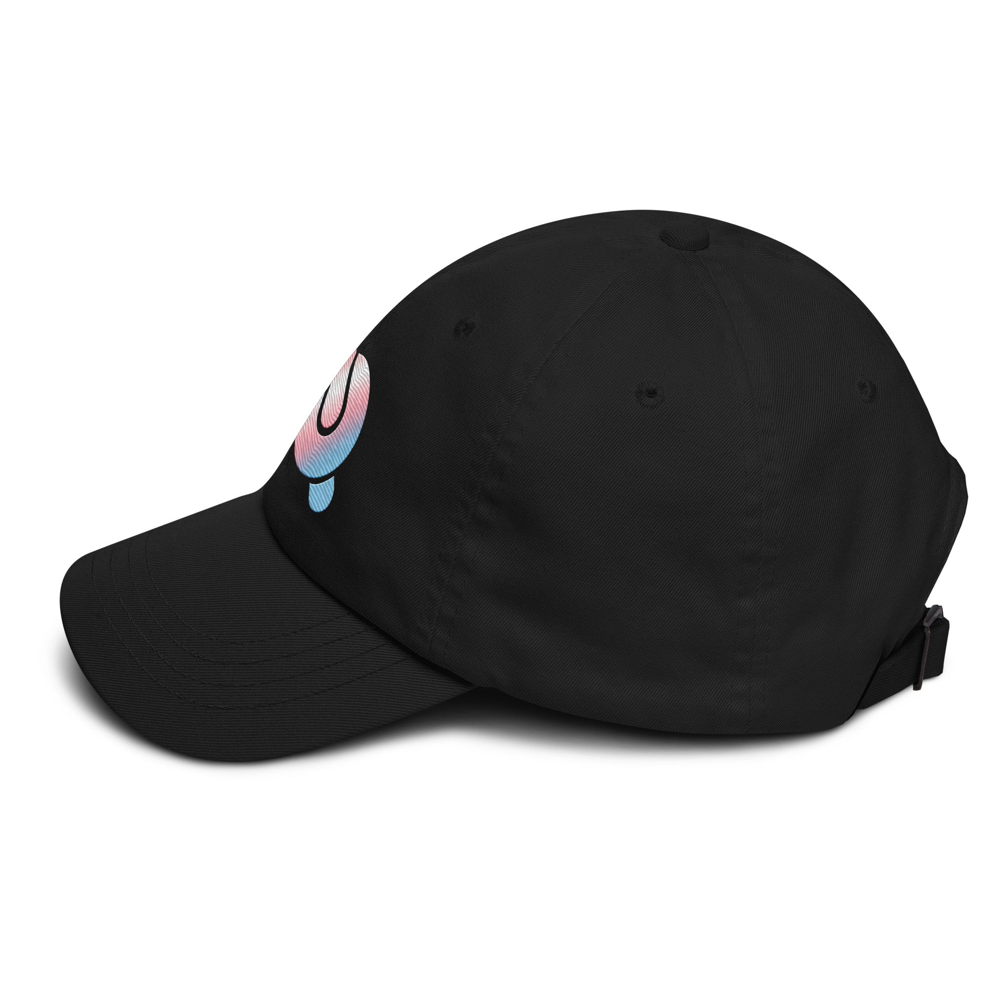Transgender Gradient Embroidered Baseball Hat