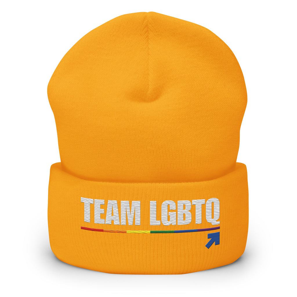 Team LGBTQ embroidered beanie