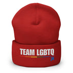 Team LGBTQ embroidered beanie
