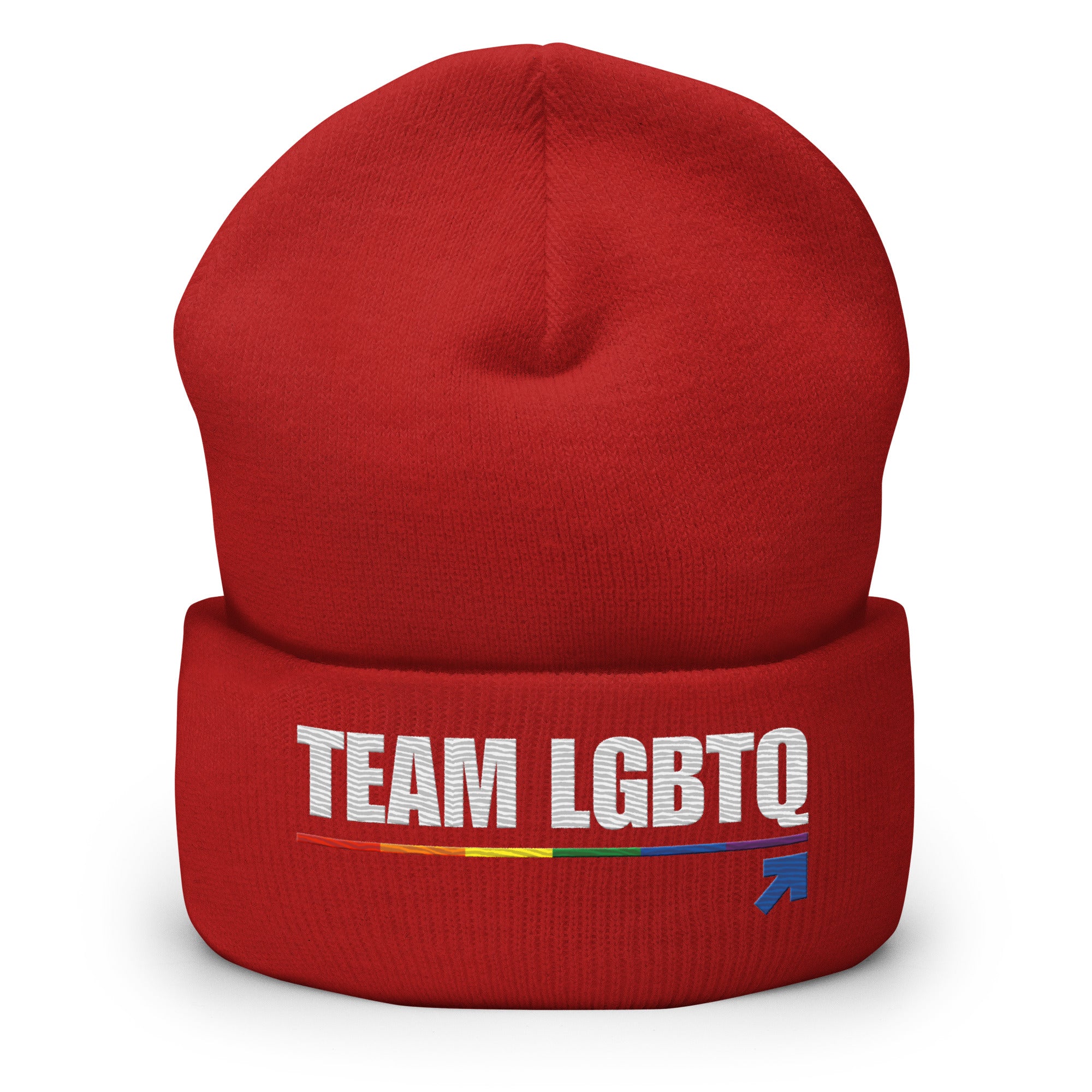 Team LGBTQ embroidered beanie