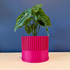 Ender Planter