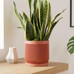 Vector Planter