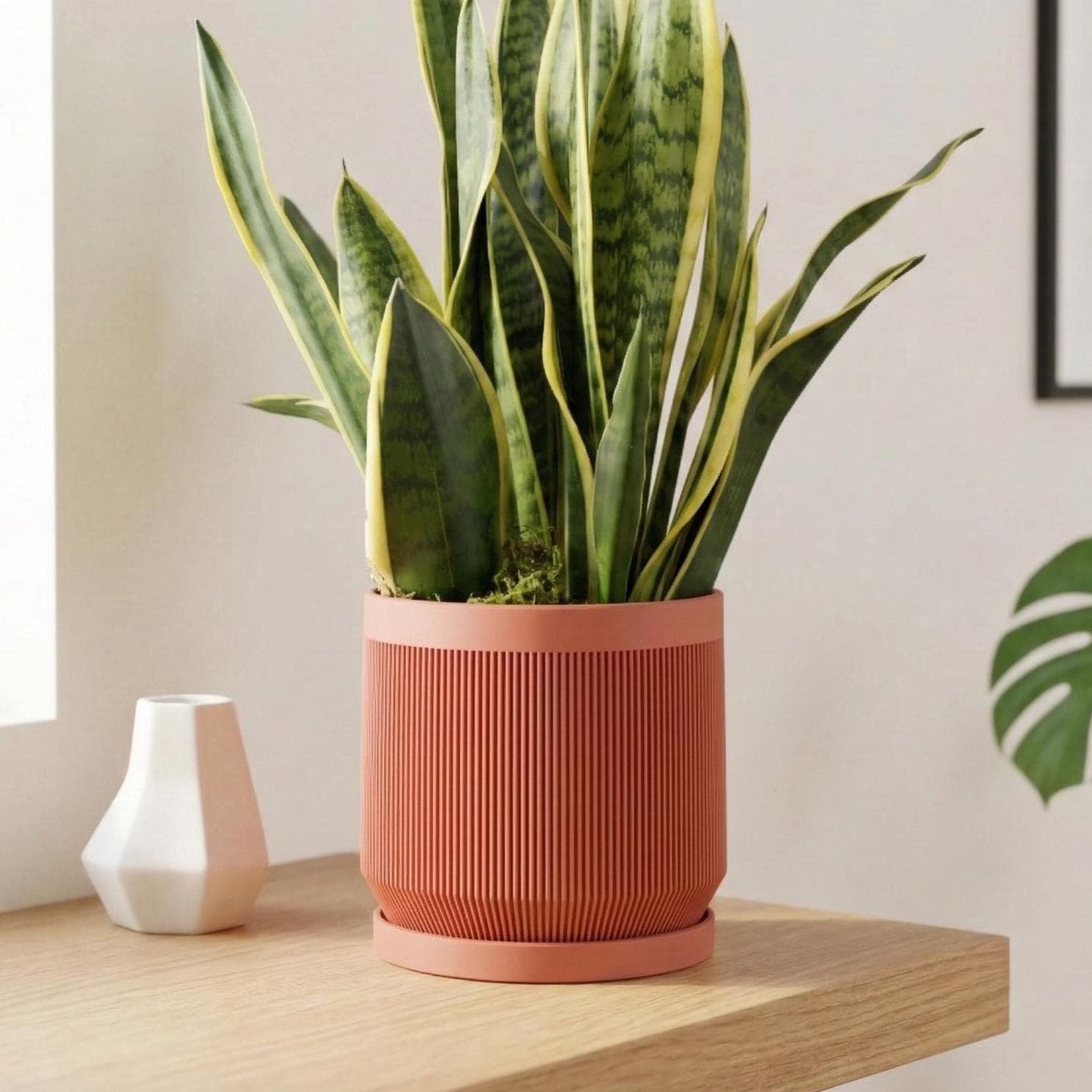 Vector Planter