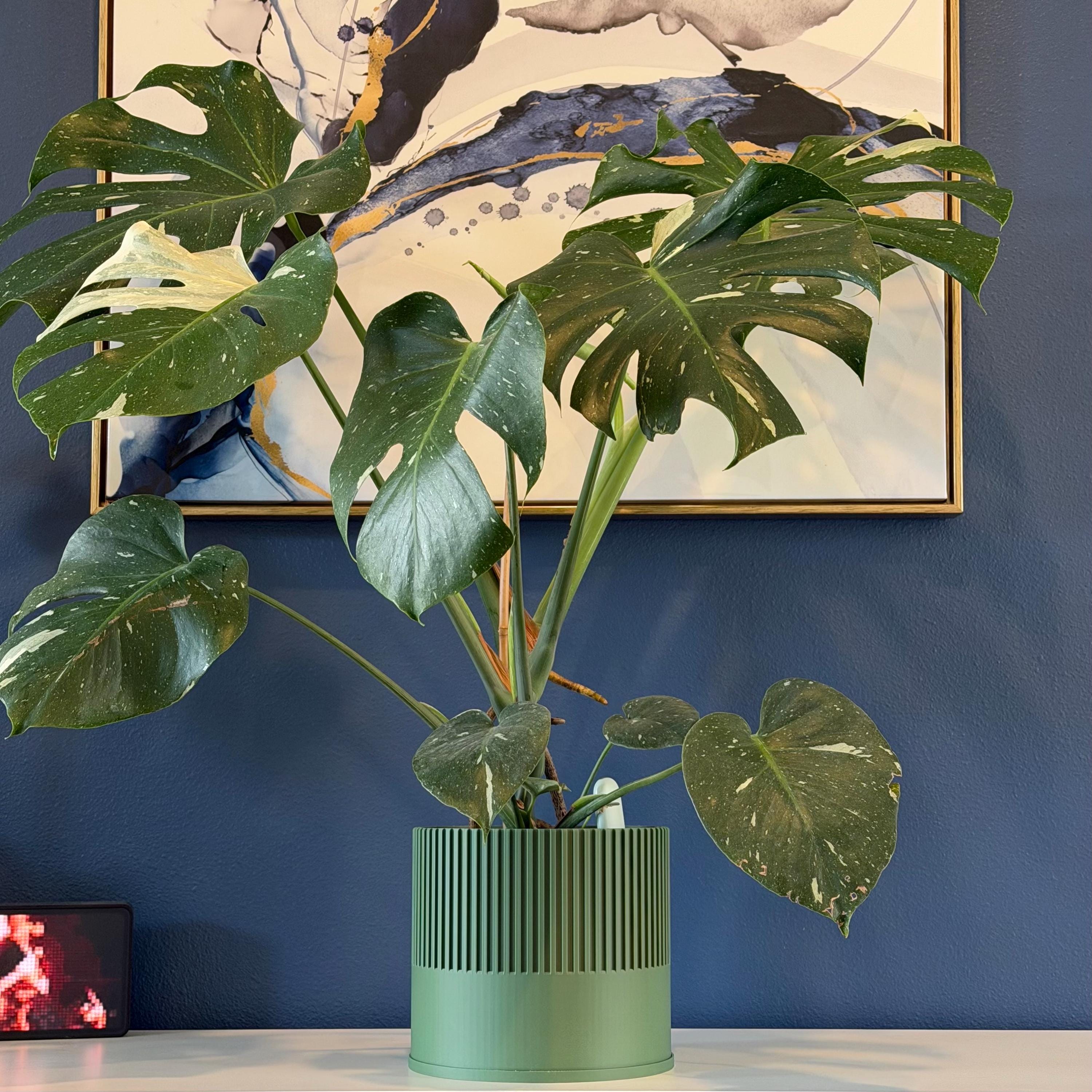 Ender Planter